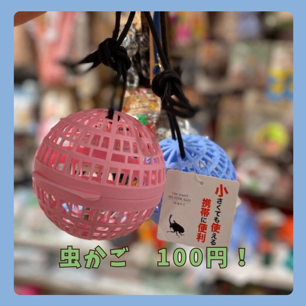 虫かご100均