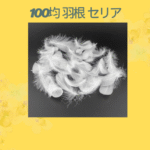 100均 羽根 セリア
