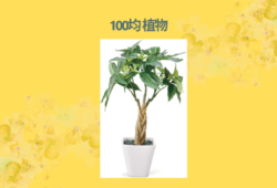 100均 植物