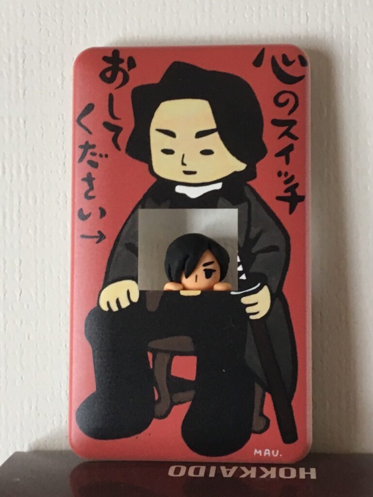100円スイッチガード