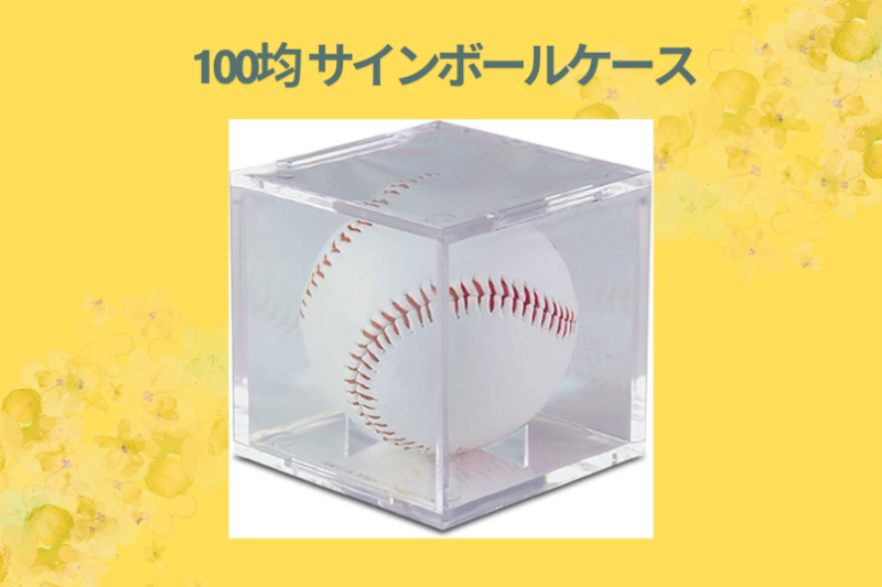 100均 サインボールケース
